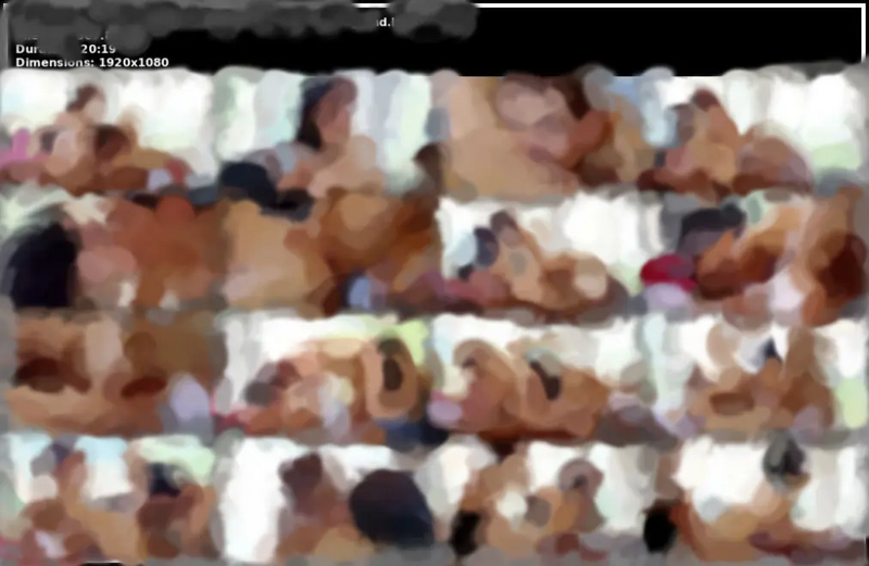 Файл:Vcsi03.webp