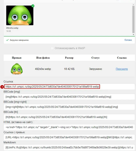 Файл:Kak zalit picture umpic 4.webp